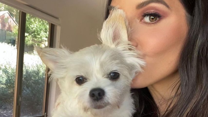 Olivia Munn mit ihrem Hund im August 2021