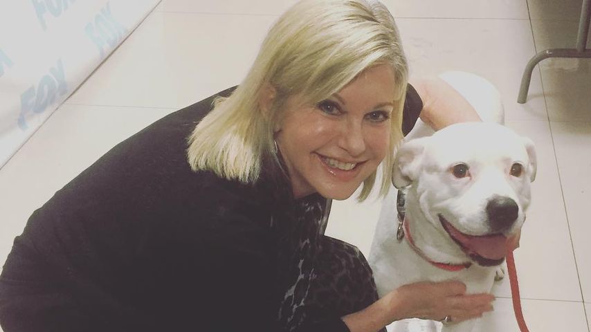 Olivia Newton-John im Februar 2017
