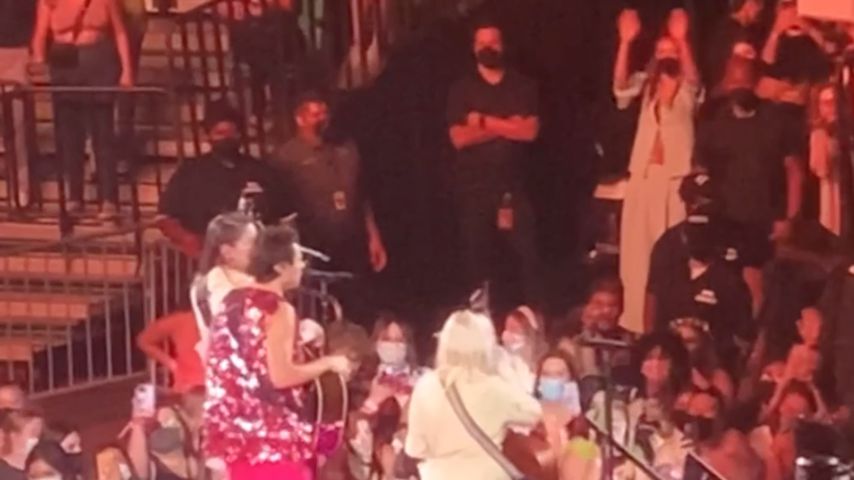 Olivia Wilde (oben rechts im Bild) auf einem Konzert von Harry Styles