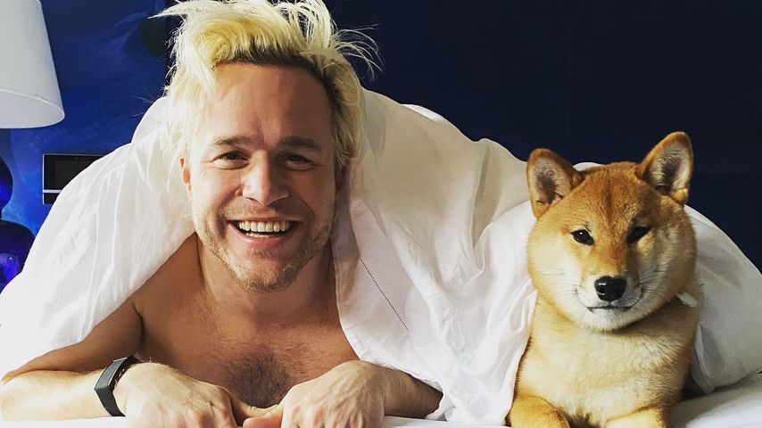 "Große Verantwortung": Olly Murs übt mit Hund das Papa-Sein