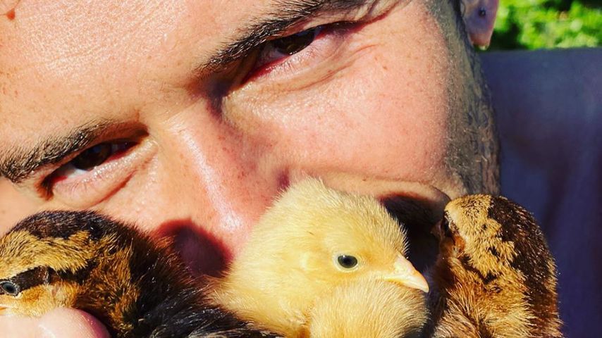 Zum Dahinschmelzen: Hier posiert Orlando Bloom mit Küken!