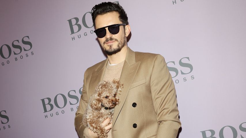 Orlando Bloom mit seinem Hund Mighty im Februar 2020