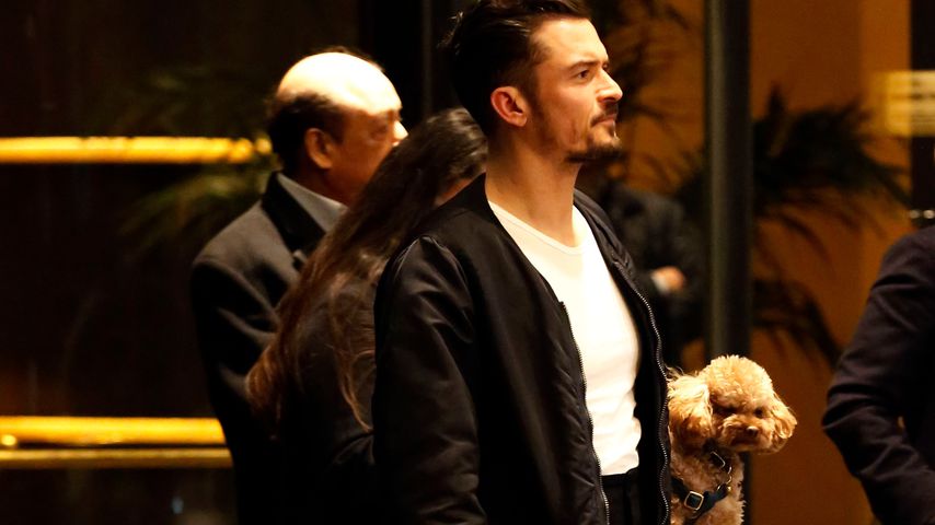 Orlando Bloom mit seinem Hund in Mailand