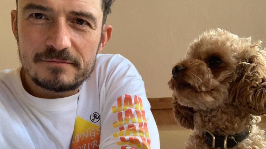 Orlando Bloom mit seinem Hund Mighty