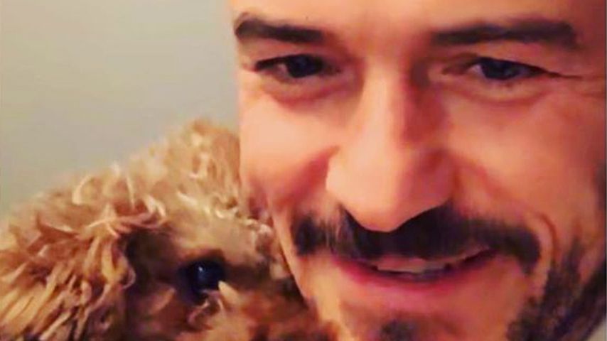 Orlando Bloom und Katy Perry, November 2019