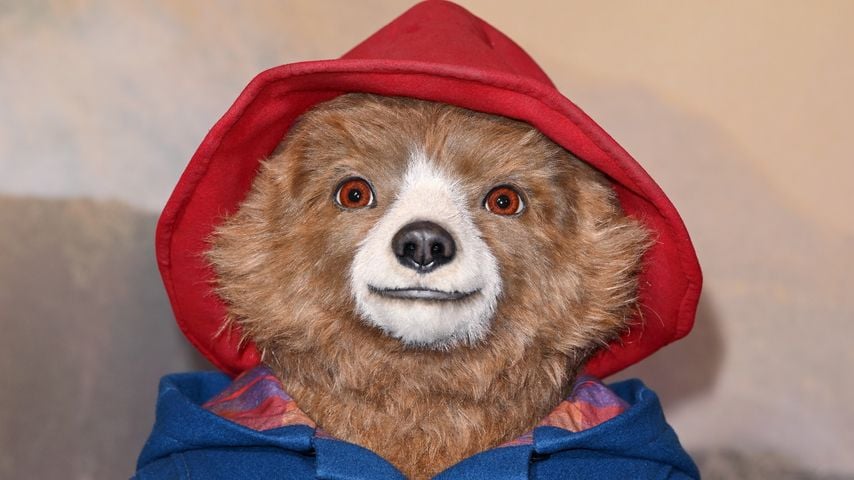 Filmbär Paddington startet auf der großen Bühne durch