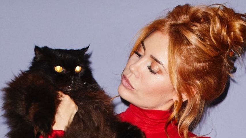 Palina Rojinski trauert um ihren verstorbenen Familienkater