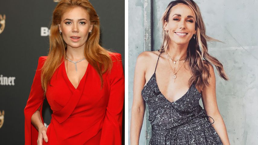Ist der "The Masked Singer"-Teddy Palina oder Annemarie?