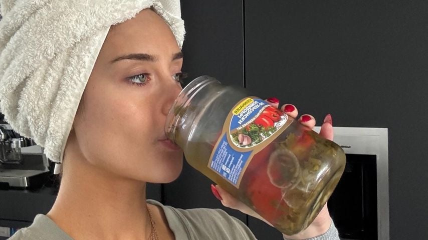 Palina, Influencerin