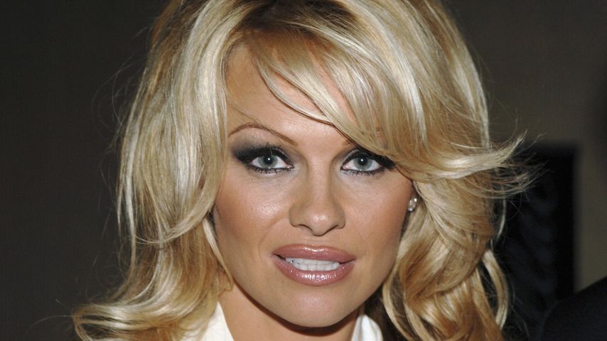 Pamela Anderson, Erotik-Model
