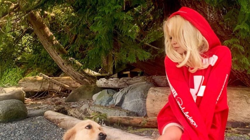 Pamela Anderson und ihr Hund auf Instagram, 2020