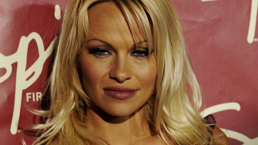 Pamela Anderson, Erotikmodel