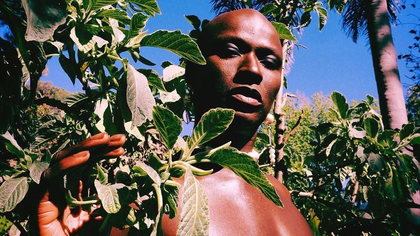 Papis Loveday, Model