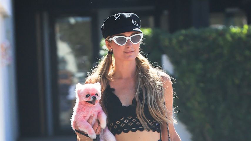 Skurriler Anblick: Paris Hilton mit pinkem Hund unterwegs
