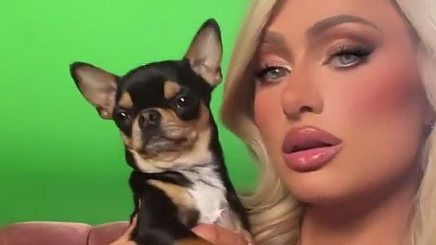 Paris Hilton mit ihrem Hund Diamond Baby