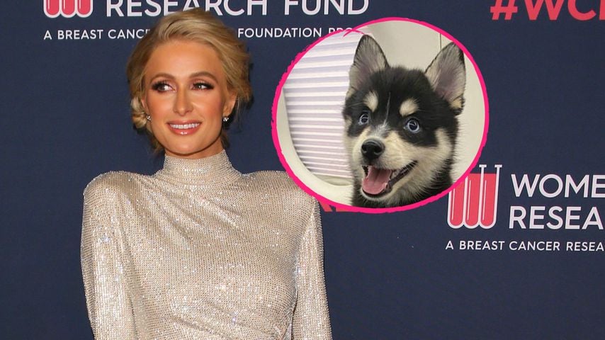 Liebes-Jubiläum: Paris Hilton bekommt Hündchen vom Freund!
