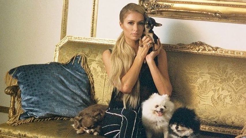 Paris Hilton mit ihren Hunden