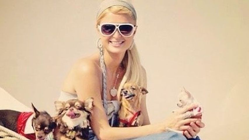 Paris Hilton, TV-Bekanntheit