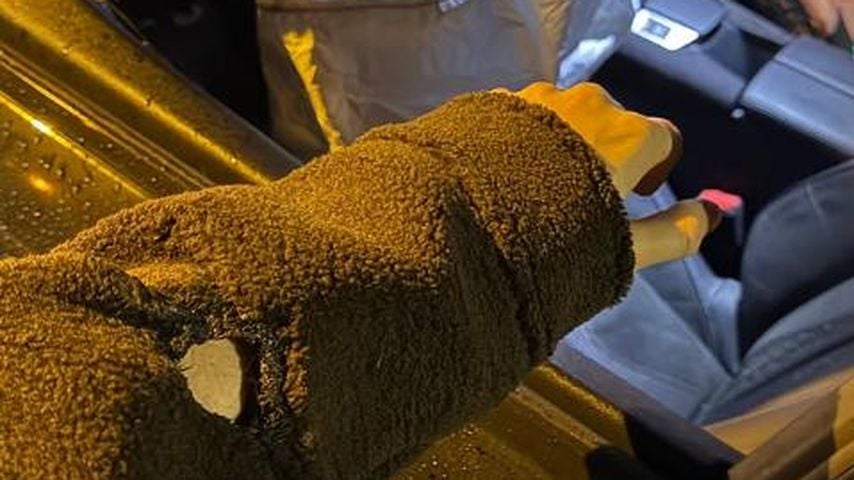 Realitystar Pascal Zadows Arm, November 2025