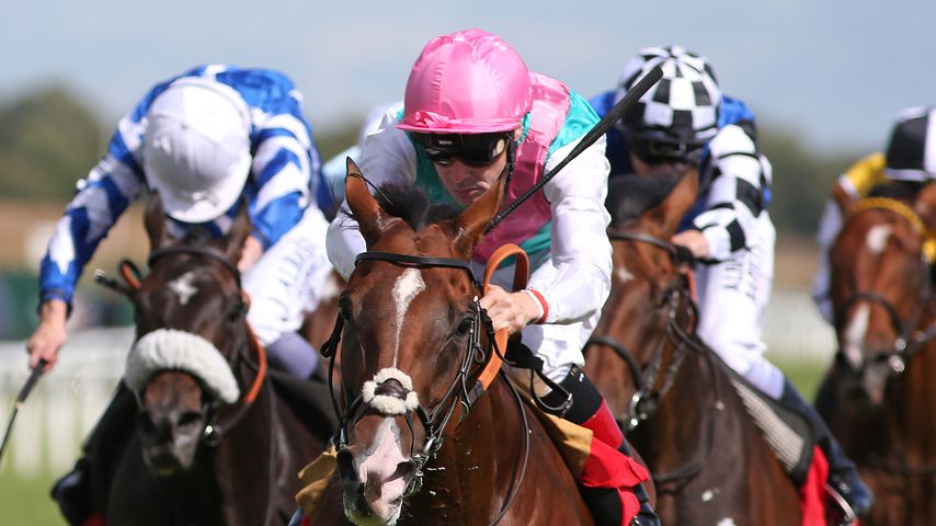Pat Smullen bei einem Rennen im Jahr 2016