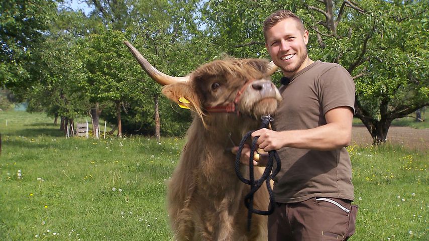 Patrick, "Bauer sucht Frau"-Kandidat 2020
