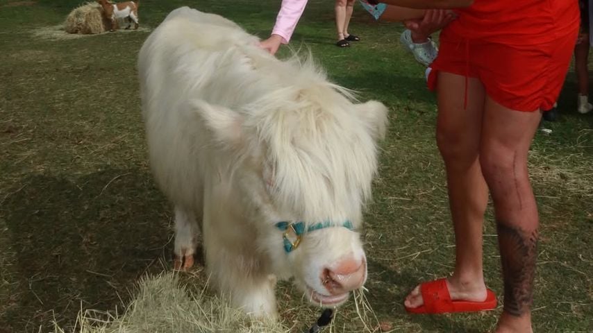 Patrick Mahomes zeigt im Familienurlaub die Narben seiner OP