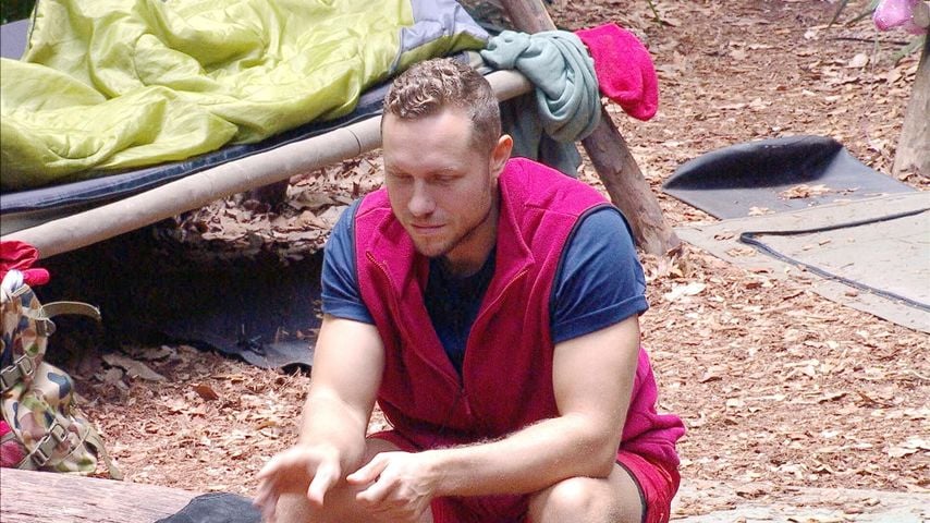 Patrick Romer, Dschungelcamp 2026