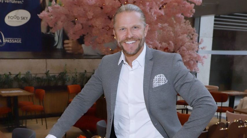 "Die Bachelors"-Abbruch: So reagiert Paul Janke auf Gerüchte