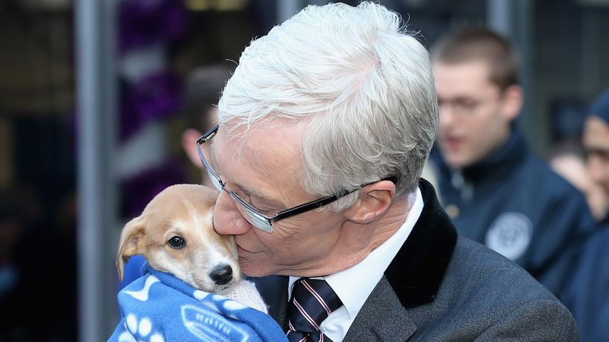 Paul O'Grady, TV-Star