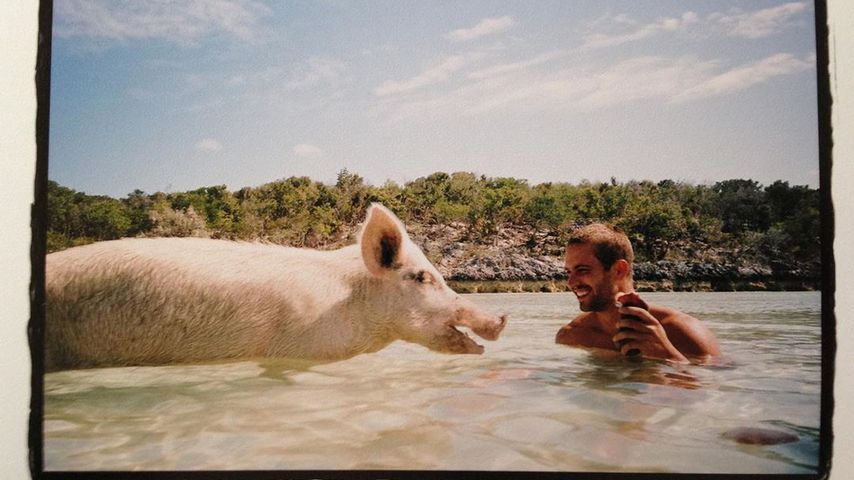 Emotionaler Post: Meadow gedenkt ihres Vaters Paul Walker!