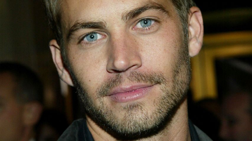 Paul Walker im November 2003 in Westwood