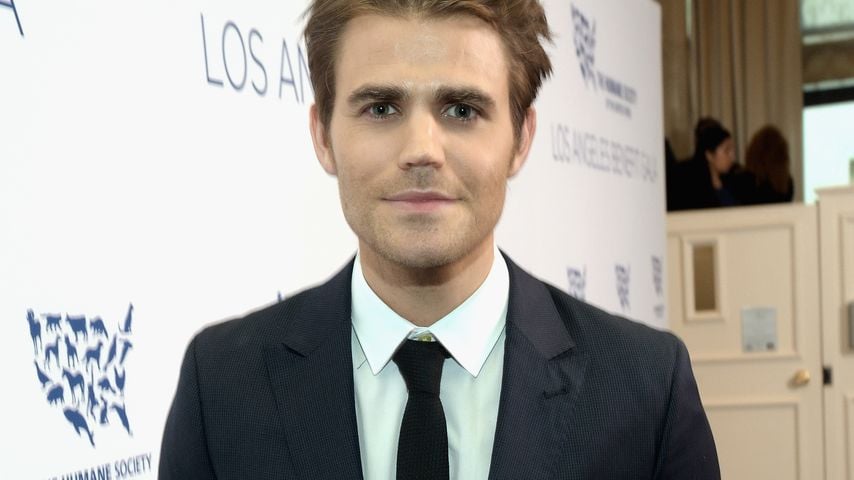 Und nun? Das macht der "Vampire Diaries"-Cast nach Show-Ende
