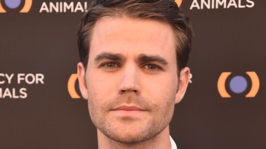 Vampire Diaries: Diese Rolle wollte Paul wirklich