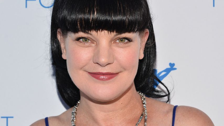 NCIS-Star Pauley Perrette: Darum ist sie jetzt wieder Single