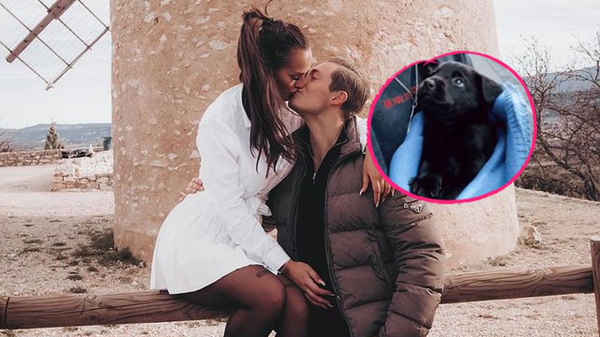 Süß! Henrik Stoltenberg und seine Paulina sind Hundeeltern