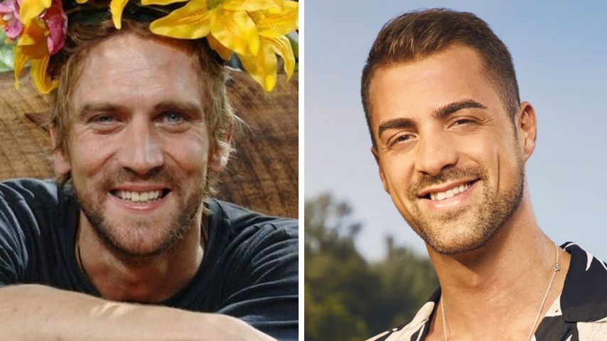Der neue Peer Kusmagk? "Promis unter Palmen"-Fans loben Tobi
