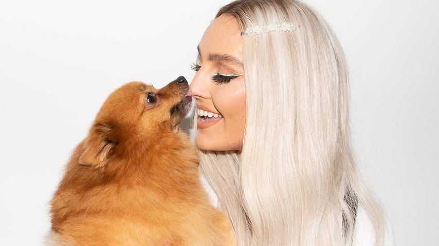Nach 14 Jahren verliert Perrie Edwards ihren Hund Hatchi