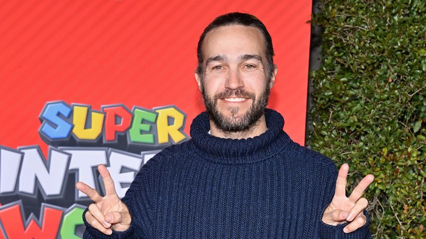 Pete Wentz, Musiker