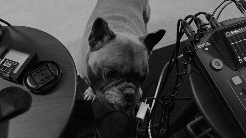 Pete Wicks verstorbene Bulldogge Peggy