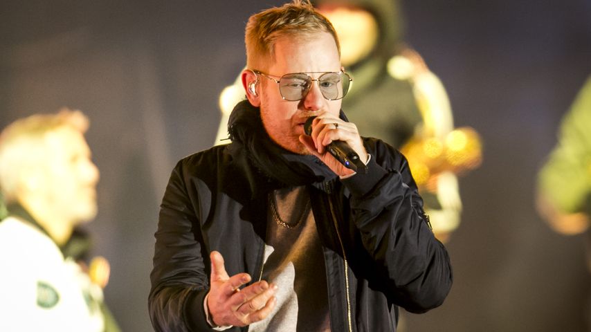 Peter Fox, Musiker