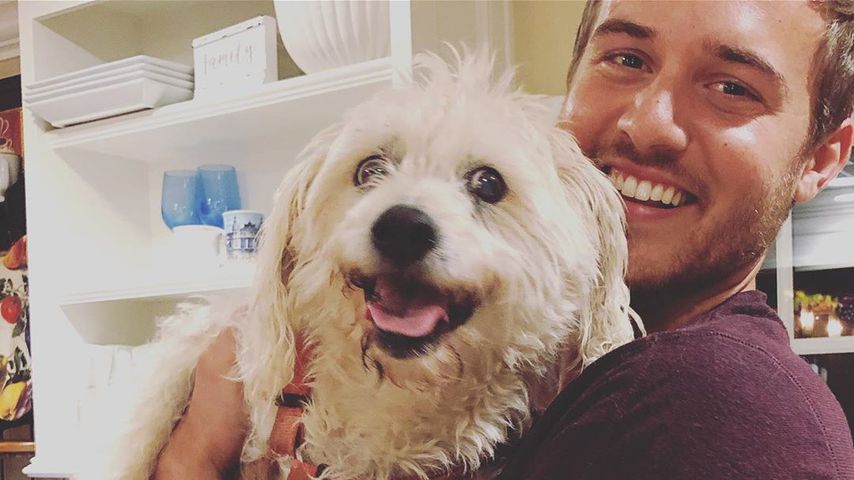 Nach Gesichts-OP: US-Bachelor Peter Weber lächelt wieder!