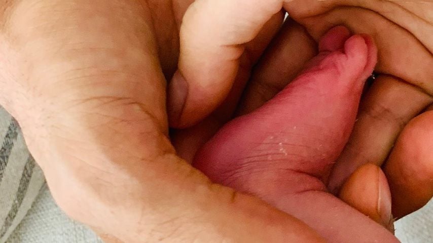 Petra Nemcovas Baby-Verkündung
