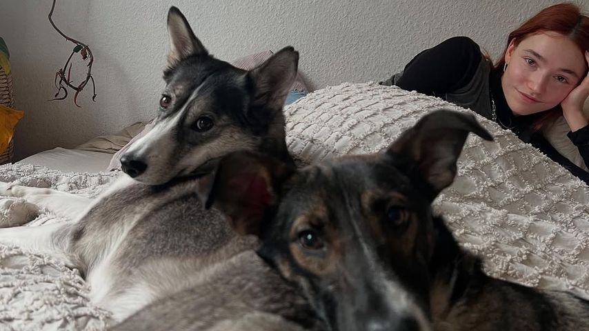 Phia Quantius mit ihren Hunden Ma und 13