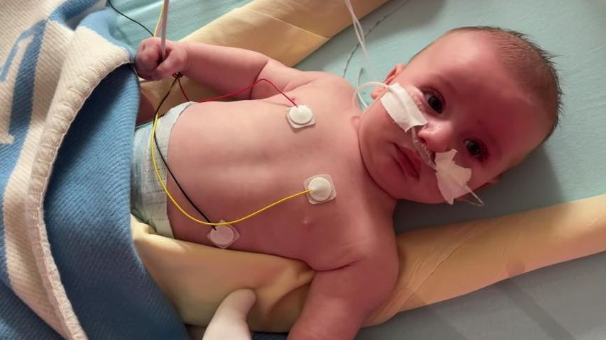 Philipp Pleins Sohn Rouge im Krankenhaus
