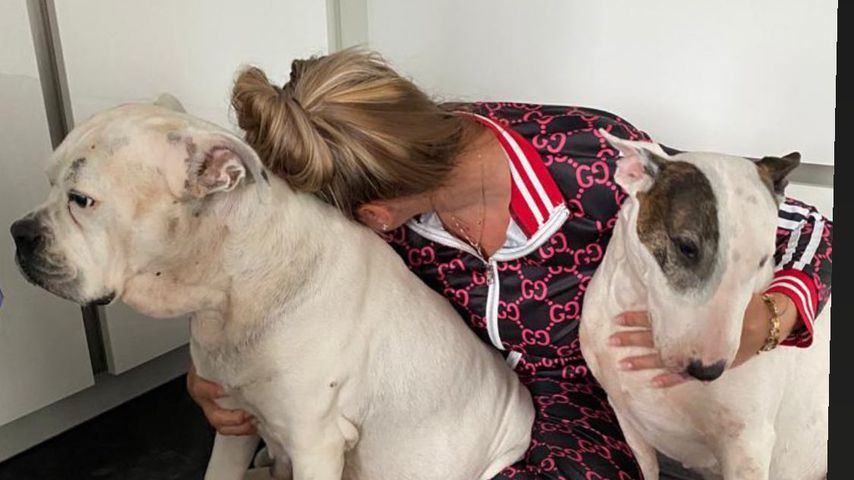 Pia Peukmann mit ihren Hunden
