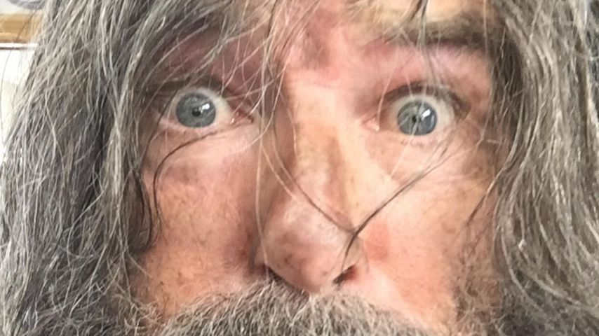 Welcher Hollywood-Star steckt unter dieser wilden Mähne?