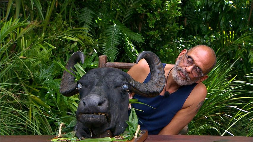Pierre Sanoussi-Bliss, Dschungelcamp 2025