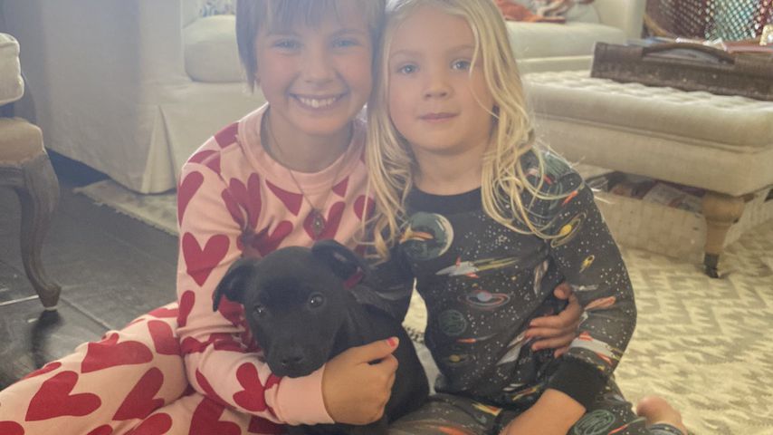 Pinks Kinder Willow und Jameson und der neue Familienhund Habañero