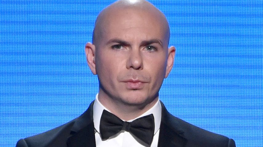 "Timber" geklaut? Pitbull soll 3 Millionen zahlen
