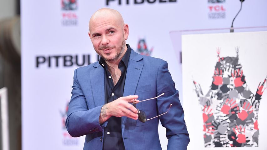 Pitbull, Musiker